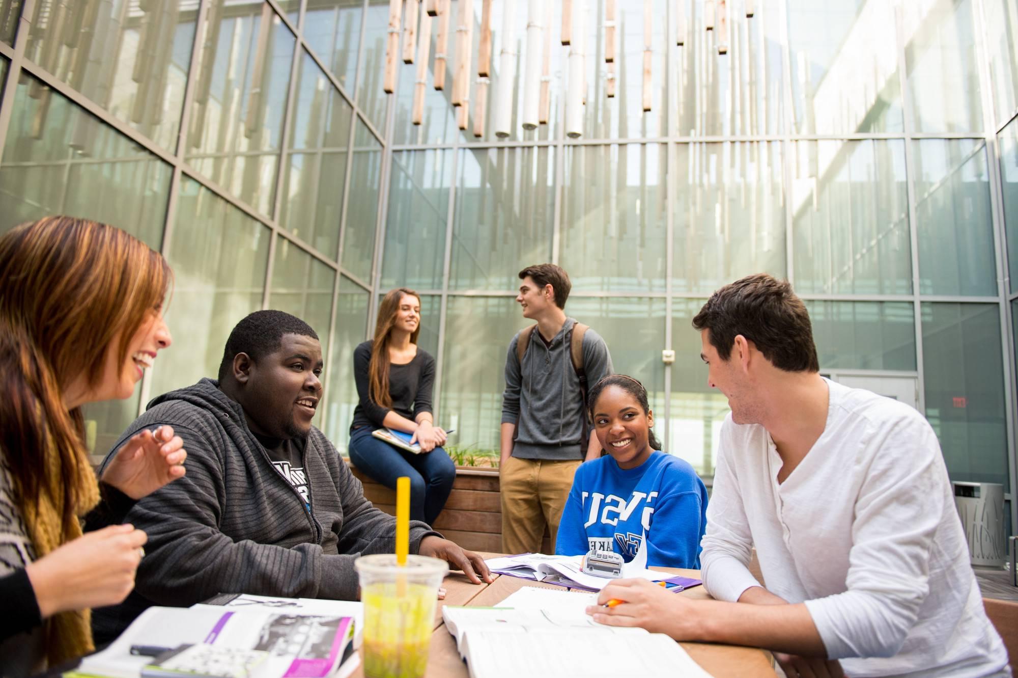 Students studying together